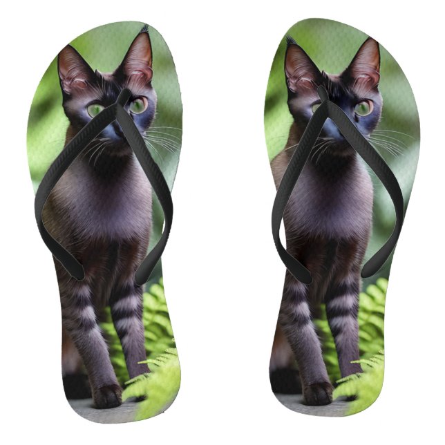 Dexter O Gato Siames Preto, Chinelos (Pé da cama)