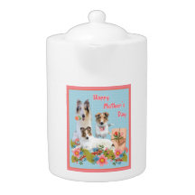 Dia das Mães Collies e flores