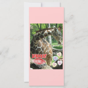 Dia de os namorados Giraffe