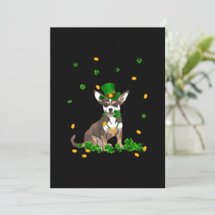 Dia de São Patrício Irlandês Chihuahua Com Gif 