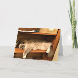 Dia do duro no escritório, cartão