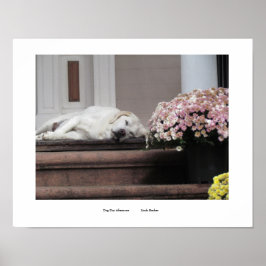 Dia dos Cachorros - Impressão