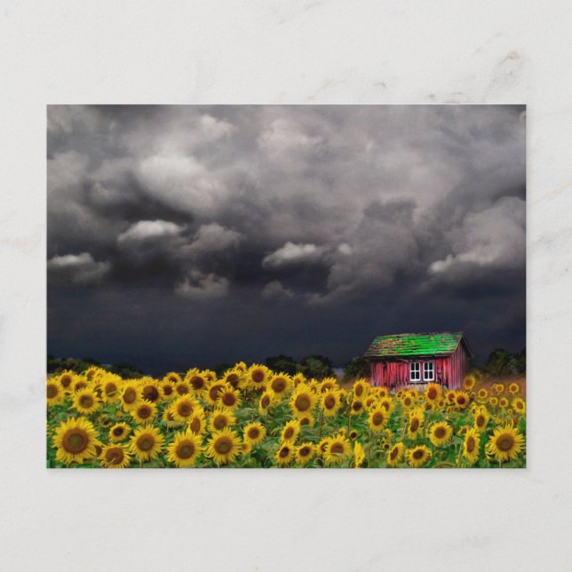 Dia Estranho , Cartão Postal (Frente)