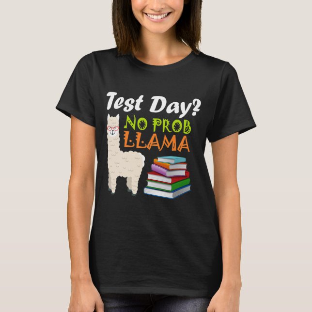 Dia Llama Professora Exame Ensinando Camisa Estuda (Frente)