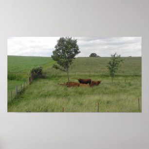 Dia Pacífico em Wisconsin - Poster de Fotografia e