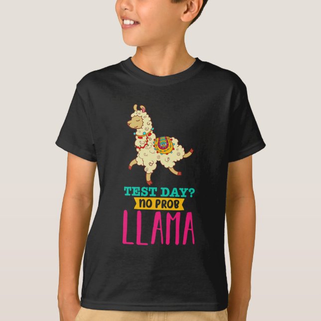 Dia sem problema Camisa Llama Oferta de oferta (Frente)
