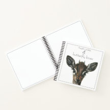 Diário de Beijos Butterfly