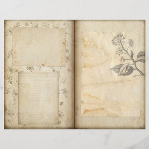 Diário de Jardim Botânico de Vintage Papel de Escr