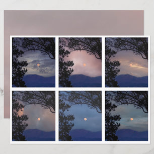 Diário de Lixo Ferie Skies Moon Trees Fantasy 19-2