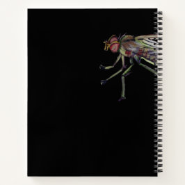 diário de treinamento