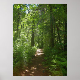 Dias de Verão (6) Poster