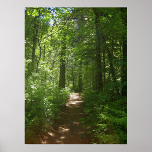 Dias de Verão (6) Poster