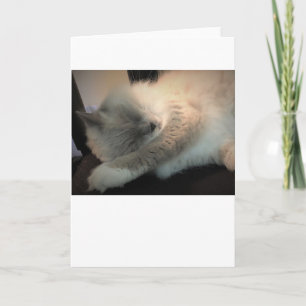 Dias Lentos, cartão