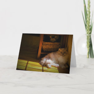 Dias Lentos, cartão