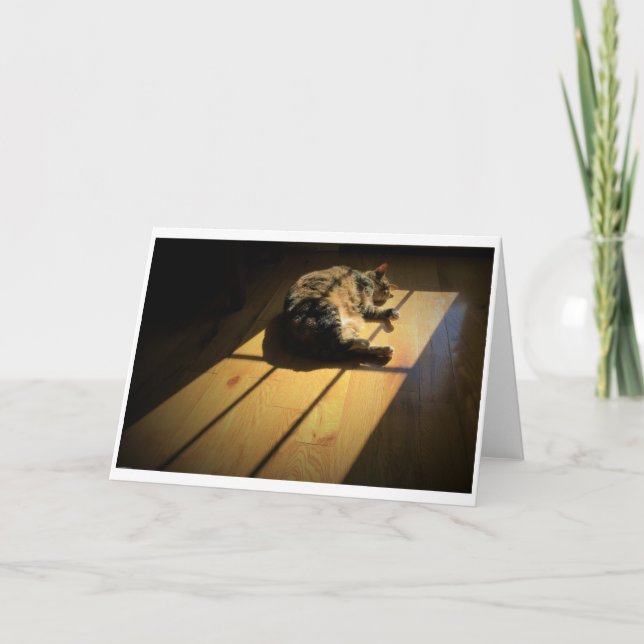 Dias Lentos, cartão (Frente)