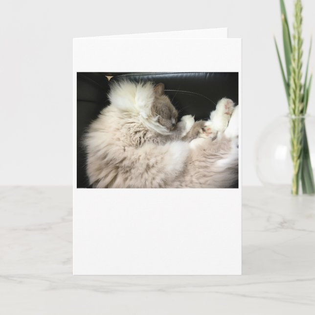 Dias Lentos, cartão (Frente)