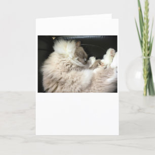 Dias Lentos, cartão