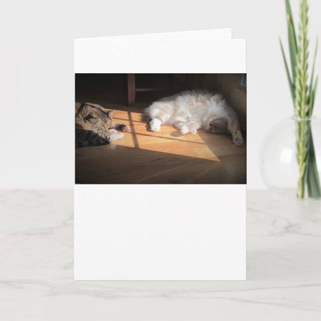 Dias Lentos, cartão (Frente)