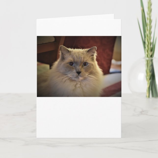 Dias Lentos, cartão (Frente)