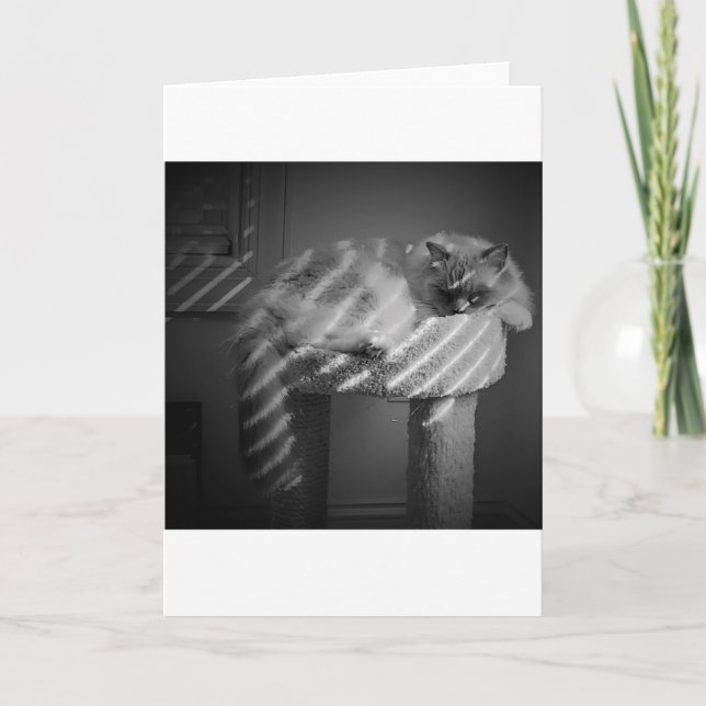 Dias Lentos, cartão (Frente)