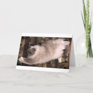 Dias Lentos, cartão