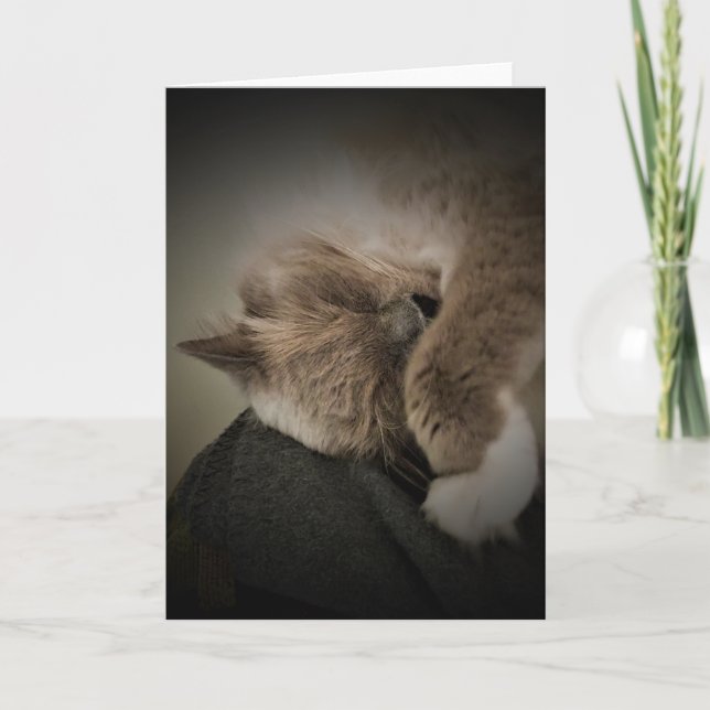 Dias Lentos, cartão (Frente)