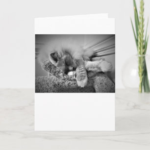 Dias Lentos, cartão