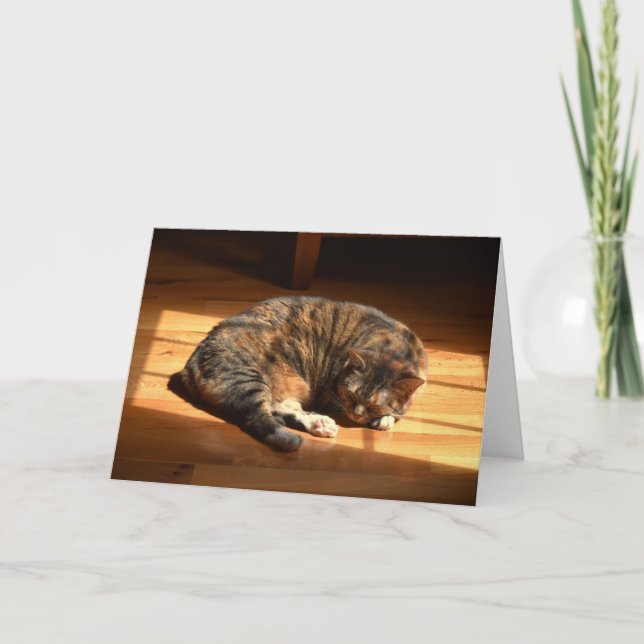 Dias Lentos, cartão (Frente)