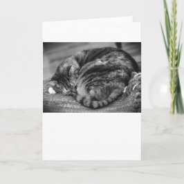 Dias Lentos, cartão