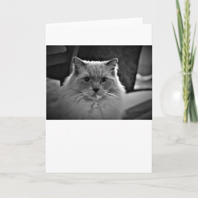 Dias Lentos, cartão (Frente)