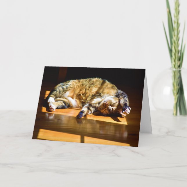 Dias Lentos, cartão (Frente)