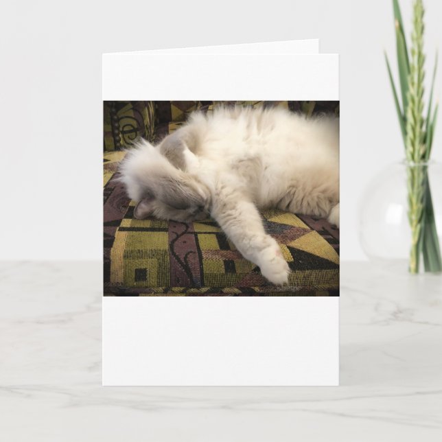 Dias Lentos, cartão (Frente)