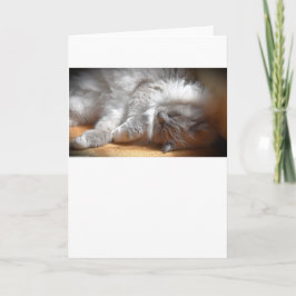 Dias Lentos, cartão