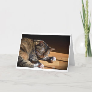 Dias Lentos, cartão