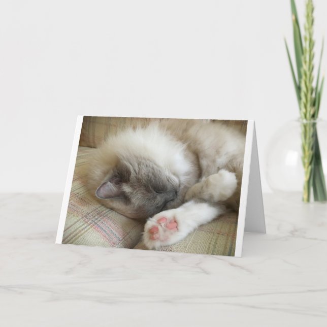 Dias Lentos, cartão (Frente)