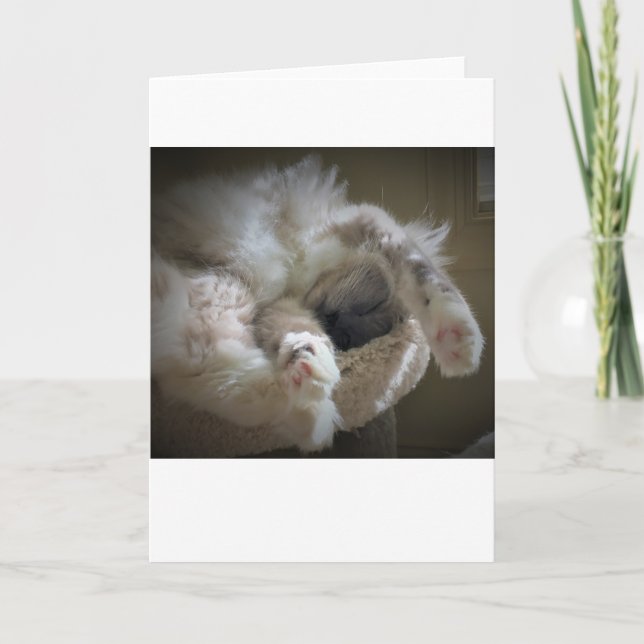 Dias Lentos, cartão (Frente)