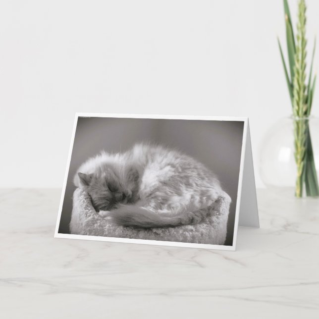 Dias Lentos, cartão (Frente)