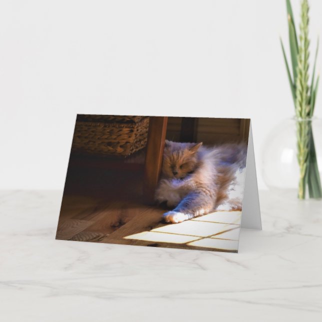 Dias Lentos, cartão (Frente)