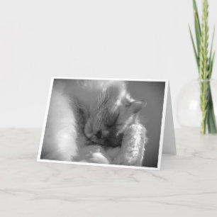 Dias Lentos, cartão