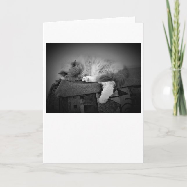 Dias Lentos, cartão (Frente)