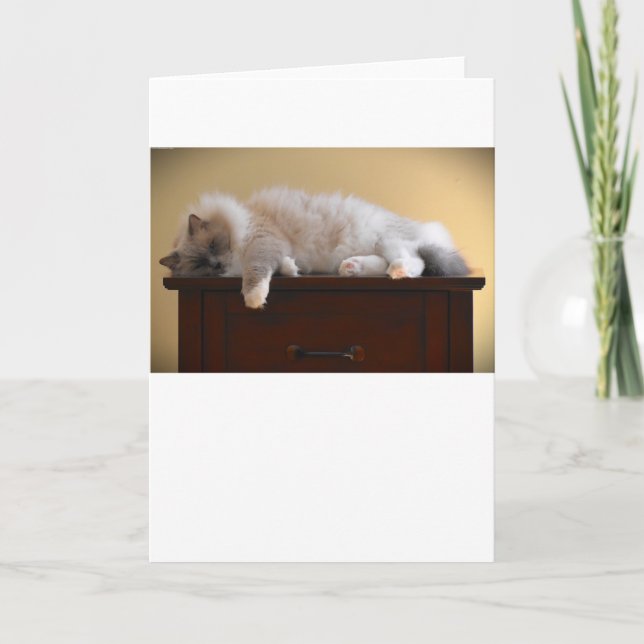 Dias Lentos, cartão (Frente)