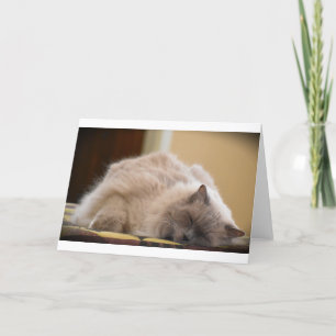 Dias Lentos, cartão