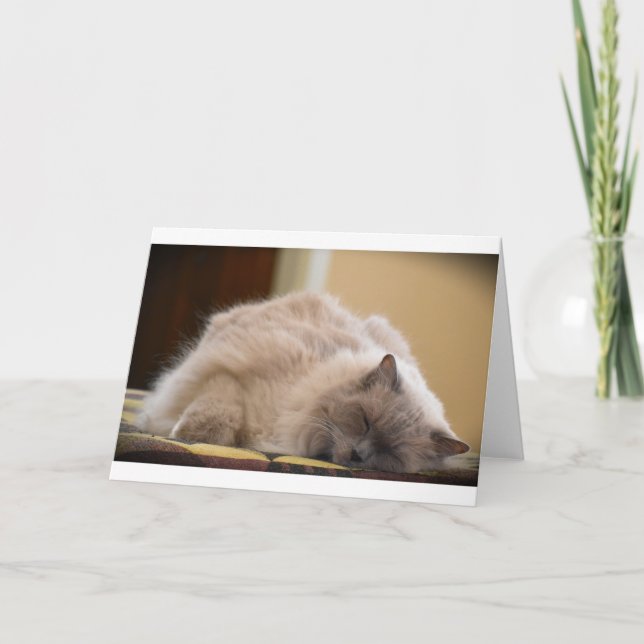 Dias Lentos, cartão (Frente)