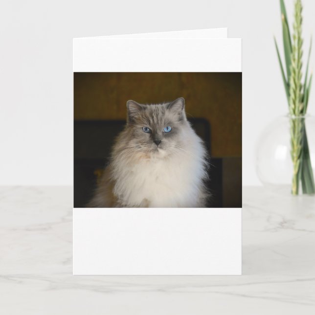 Dias Lentos, cartão (Frente)