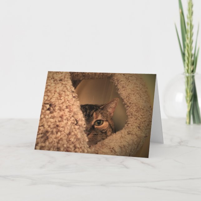 Dias Lentos, cartão (Frente)