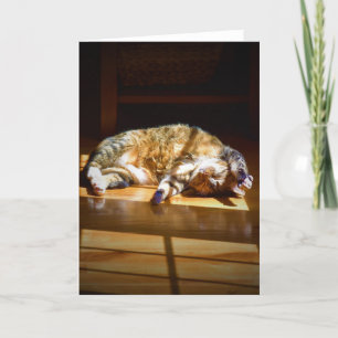 Dias Lentos, cartão