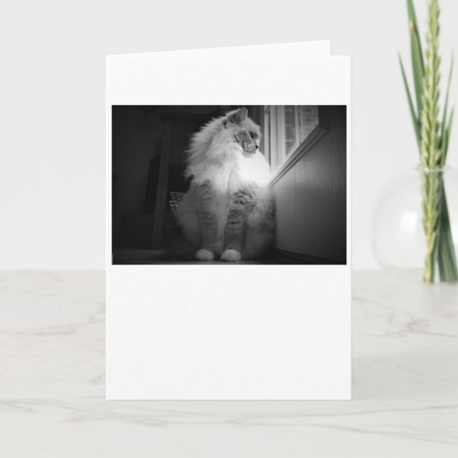 Dias Lentos, cartão (Frente)