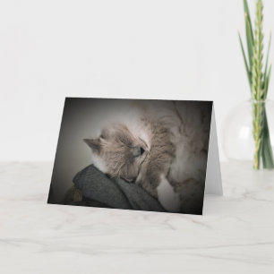 Dias Lentos, cartão