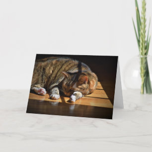 Dias Lentos, cartão