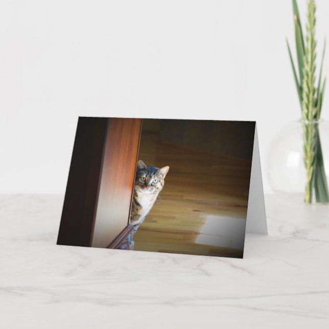 Dias Lentos, cartão (Frente)